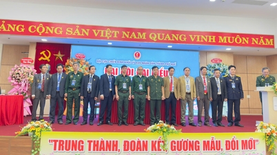 קידום תכונותיהם של חייליו של הדוד הו בעבודה ובחיים