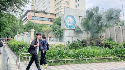 Cannot continue to be lenient in training doctors and lawyers