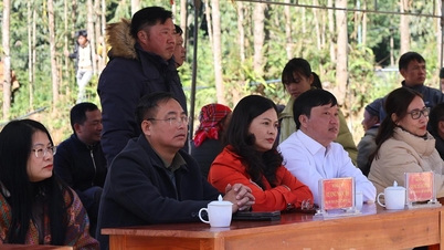 תחרות הפרות היפות של פו באנג קומונה