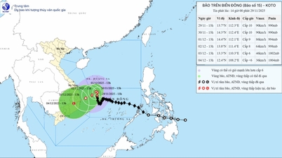 嵐15号は継続的に方向を変え、熱帯低気圧はより速く移動している