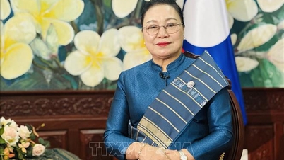 ベトナムとラオス間の政治的信頼を強化し、実質的な協力を促進する