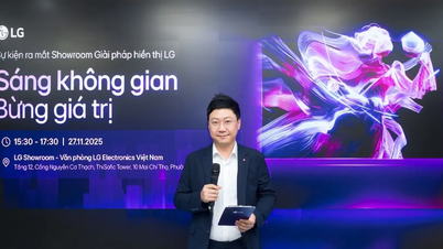 LG cung cấp giải pháp hiển thị doanh nghiệp và giải trí cao cấp