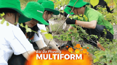 Grønn kommunikasjon: En viktig retning i implementeringen av samfunnsansvar