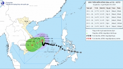 طوفان نمبر 15 پر ہنگامی ردعمل، سطح 4 کے لینڈ سلائیڈنگ کے خطرے کی وارننگ