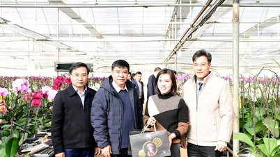 Delegasi provinsi mengunjungi beberapa model pengembangan ekonomi pertanian di provinsi Son La.