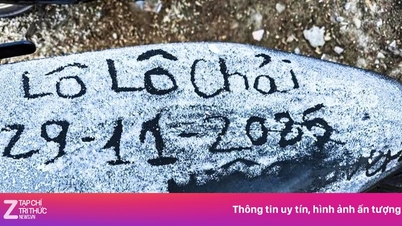 Biały szron „pokrywa” kamienny płaskowyż Dong Van