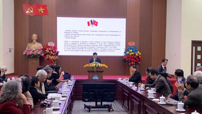 توسيع جسر الصداقة بين فيتنام ورومانيا