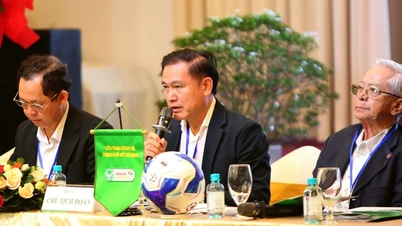 Mr. Tran Anh Tu was re-elected as Chairman of the Ho Chi Minh City Football Federation.