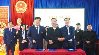 Comuna Trung Thinh a semnat un contract pentru instruirea și crearea de locuri de muncă pentru lucrătorii rurali.