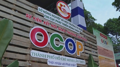 Ho Chi Minh-byen åpner det første OCOP-arrangementet for produkthandel