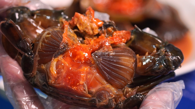 W Korei kraby marynowane są w soi, w Ca Mau kraby marynowane są w mamie.