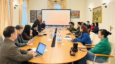 สถานทูตเวียดนามในเยอรมนีเปิดตัวแคมเปญช่วยเหลือผู้ที่ได้รับผลกระทบจากภัยพิบัติทางธรรมชาติในประเทศ