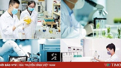 Opprettelse av statsministerens arbeidsgruppe for utvikling av vitenskap, teknologi og innovasjon