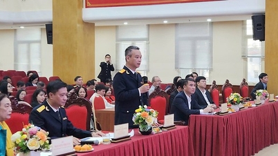 Hanoi pioneers in transforming tax management for business households