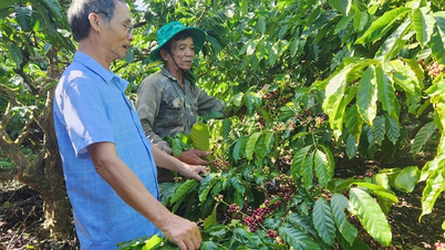 Кооперативы помогают повысить ценность сельскохозяйственной продукции в Тайзялай