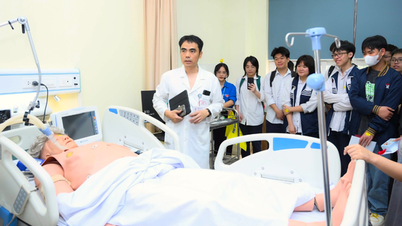 ปัจจุบันมีมหาวิทยาลัยกี่แห่งที่ได้รับมอบหมายให้ฝึกอบรมแพทย์?