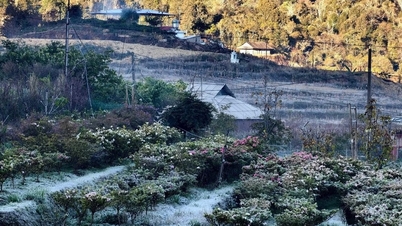 Sin Ho komününde düşük sıcaklık nedeniyle don ve buzlanma görülür.