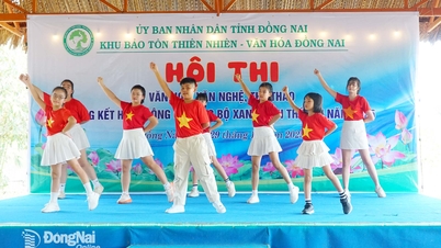 Activités intenses des clubs verts en 2025