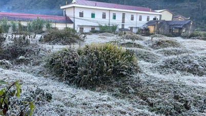 یخبندان در بسیاری از مناطق کوهستانی توین کوانگ ظاهر شد