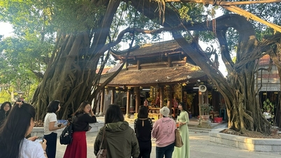 Het aanboren van endogene hulpbronnen voor duurzame ontwikkeling