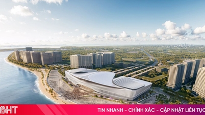 বে তিয়েন দিয়ে, কেন দুবাই, মোনাকো, মালদ্বীপে উড়ে যাবেন?