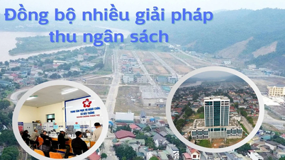 Birden fazla bütçe toplama çözümünü senkronize edin