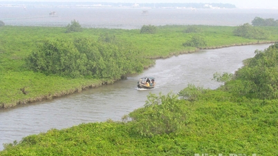 Εθνικό Πάρκο Xuan Thuy - Το πρώτο Πάρκο Κληρονομιάς ASEAN στη Βόρεια περιοχή