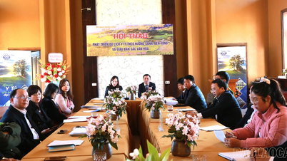 La commune de Y Ty discute des solutions pour développer un tourisme vert, durable et culturellement riche.