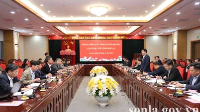 Delegasi wilayah Tuyen Quang melawat dan bekerja dengan wilayah Son La