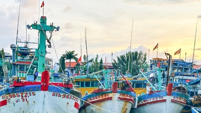 เรือเกือบ 8,400 ลำในลามด่งจอดทอดสมออย่างปลอดภัยเพื่อหลีกเลี่ยงพายุ