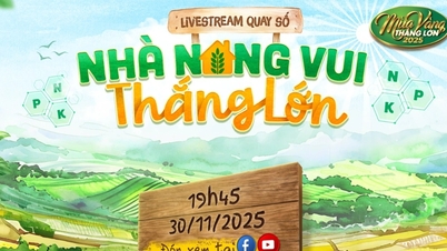 Oportunidad de ganar un auto y ganar oro con transmisión en vivo especial Big Win Golden Season 2025