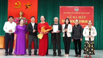 Dong Thuan Ward: Oprichting van de professionele boerenvereniging "Green Farmer"