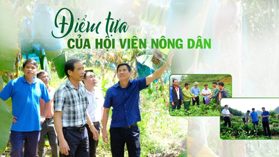 किसान संघ के सदस्यों के लिए समर्थन