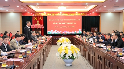 La delegación de Tuyen Quang aprende sobre la experiencia agrícola de alta tecnología en Son La