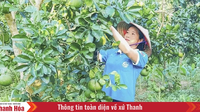 ທ່າ​ກວັ່ງ​ສຸມ​ໃສ່​ພັດທະນາ​ເສດຖະກິດ, ກໍ່ສ້າງ​ຊົນນະບົດ​ໃໝ່.