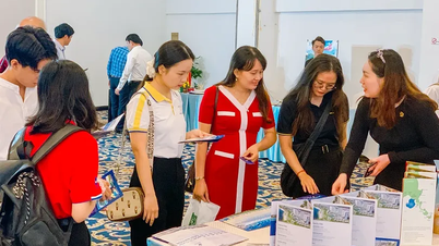 האי פונג מקדמת ומציגה תיירות בקאן טו