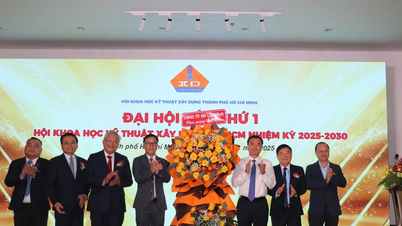 M. Le Nhu Thach est le président de l'Association des sciences et technologies de la construction de Hô Chi Minh-Ville.