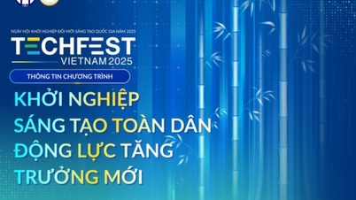 Techfest 2025: Diadakan di ruang terbuka, mendekatkan startup dengan masyarakat