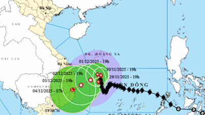 Шторм № 15 почти не двигался