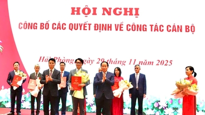 رفیق نگوین کائو تانگ به عنوان مدیر دپارتمان علوم و فناوری شهر های فونگ منصوب شد.