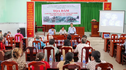 Seminar tentang penjagaan pokok buah-buahan semasa tempoh kemarau dan kemasinan.