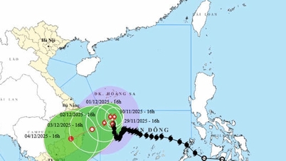 العاصفة رقم 15 لا تزال تتحرك ببطء في البحر، والمنخفض الاستوائي يضعف ويتبدد تدريجيا.