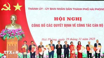 Kunngjøring av avgjørelsen om stillingen som sjefinspektør i Hai Phong by