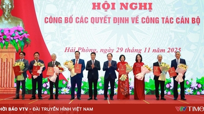 Announcement of Decision on the position of Chief Inspector of Hai Phong city and other personnel decisions