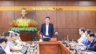 دا نانغ تسرع في تنفيذ القرار 57