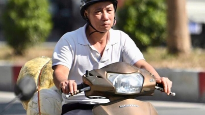 ¿Por qué el invierno en el Norte es tan extraño, el día es brillante y la temperatura es 3 veces más alta que por la noche?