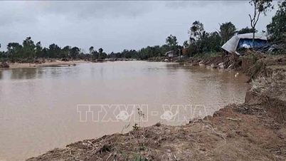 홍수로 인해 바강(닥락)에 새로운 지류가 생겨났습니다.