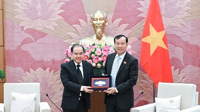 Președintele Comisiei pentru Apărare Națională, Securitate și Afaceri Externe, generalul-locotenent Le Tan Toi, a primit delegația Comisiei pentru Afaceri Externe a Senatului thailandez.