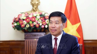 Den stora vänskapen, solidariteten och det omfattande samarbetet mellan Vietnam och Laos är en ovärderlig tillgång.