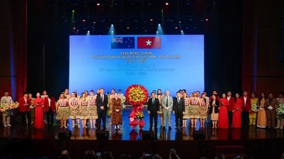 Merayakan 50 tahun hubungan diplomatik Vietnam-Selandia Baru di Kota Ho Chi Minh